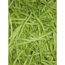 Haricots verts  bio 1 kg